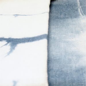 indigo5